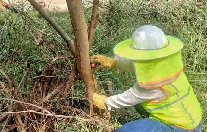 CA88(中国区)有限公司 - 官方网站