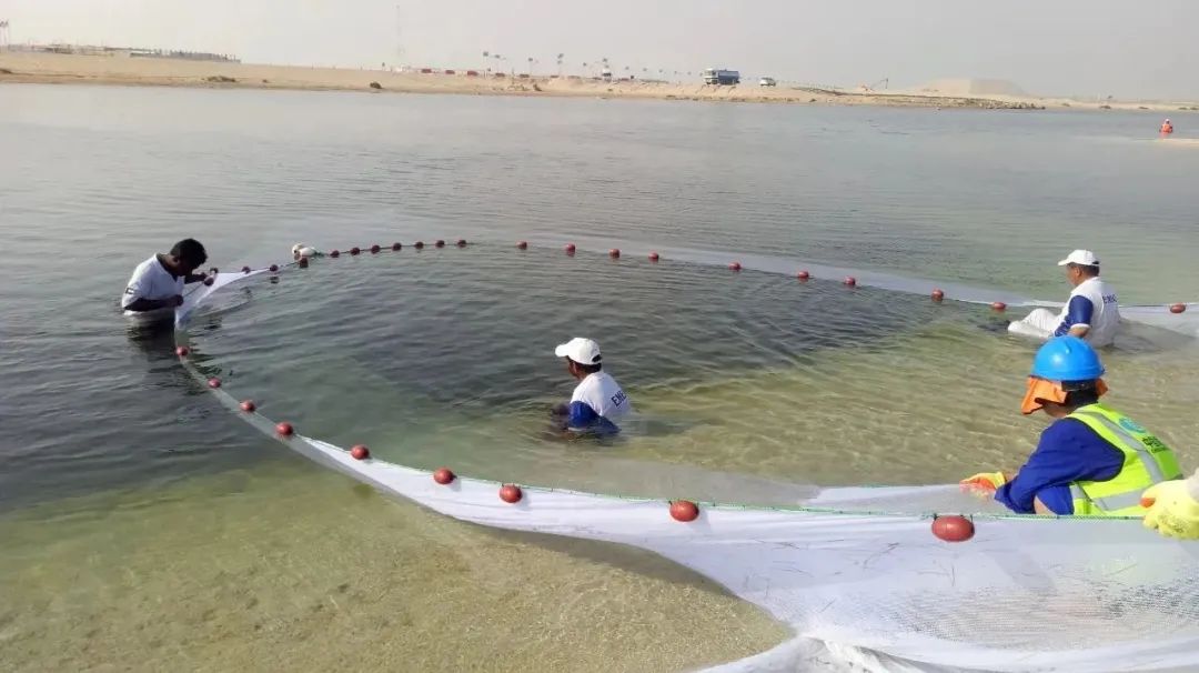 CA88(中国区)有限公司 - 官方网站