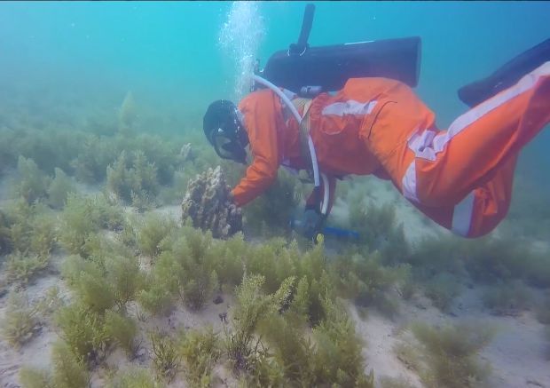 CA88(中国区)有限公司 - 官方网站