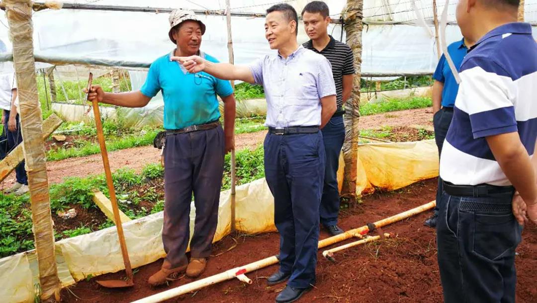 CA88(中国区)有限公司 - 官方网站