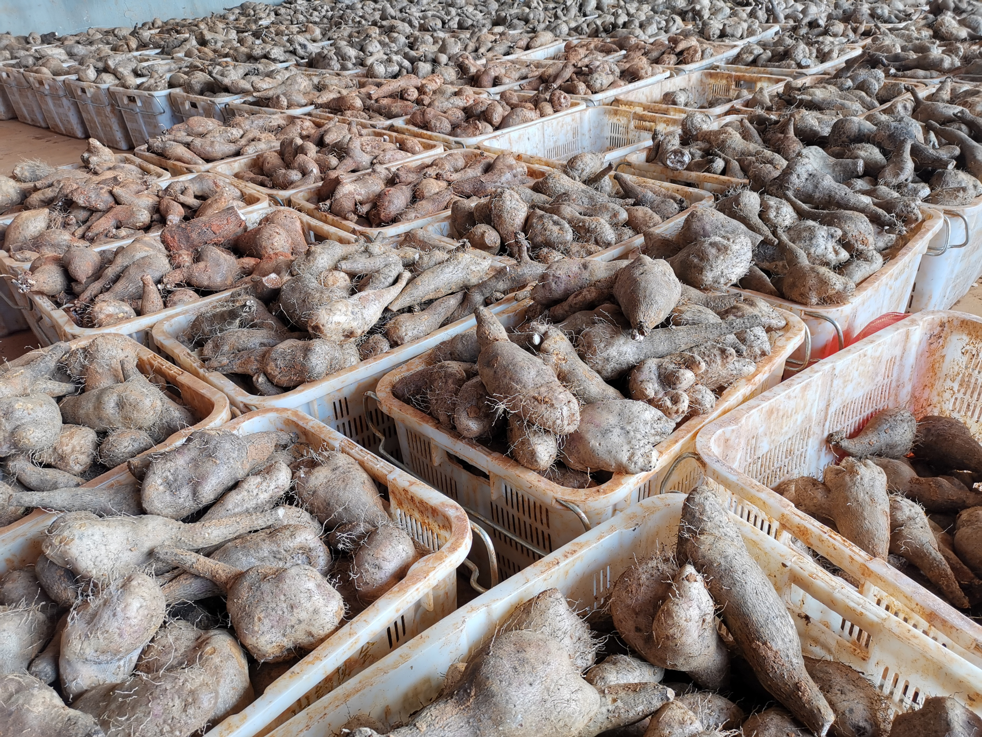 CA88(中国区)有限公司 - 官方网站